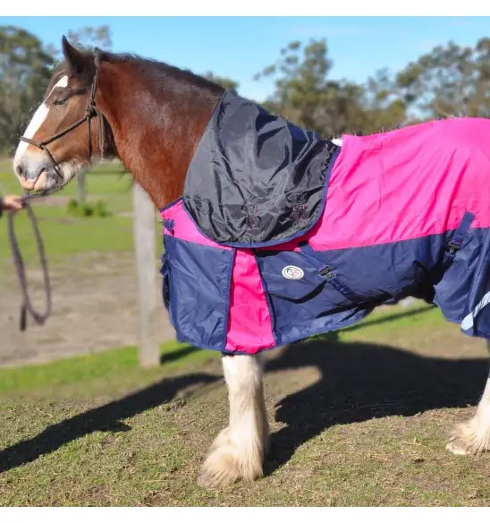 Clydesdale Rainsheet Heavy Horse Rugs Pink|Horse Rugs | LOVE MY HORSE - Australia