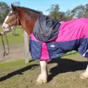 Clydesdale Rainsheet Heavy Horse Rugs Pink|Horse Rugs | LOVE MY HORSE - Australia