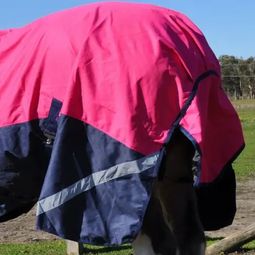 Clydesdale Rainsheet Heavy Horse Rugs Pink|Horse Rugs | LOVE MY HORSE - Australia