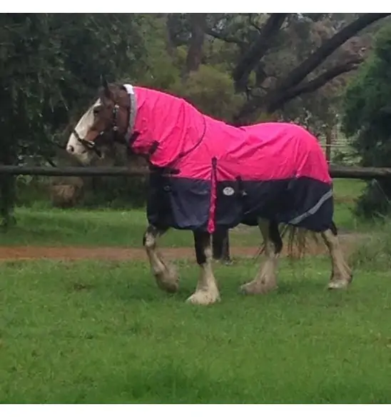 Clydesdale Rainsheet Heavy Horse Rugs Pink|Horse Rugs | LOVE MY HORSE - Australia