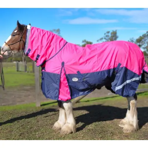 Clydesdale Rainsheet Heavy Horse Rugs Pink|Horse Rugs | LOVE MY HORSE - Australia