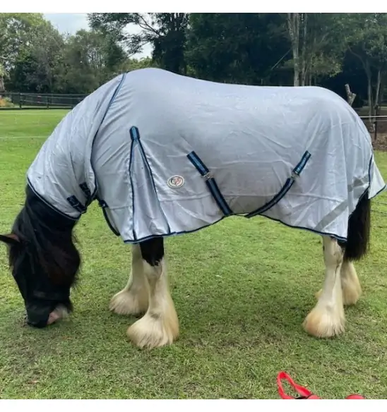 Large brown clydesdale horse wearing Love My Horse silver clydesdale mesh combo