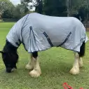 Large brown clydesdale horse wearing Love My Horse silver clydesdale mesh combo