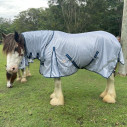 Large brown clydesdale horse wearing Love My Horse silver clydesdale mesh combo