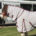 Big horse wearing Love My Horse Clydesdale Poly Cotton Combo with red trim