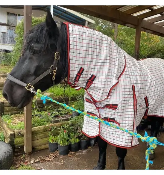 Clydesdale Cotton Combo Heavy Horse Rugs Red|Horse Rugs | LOVE MY HORSE - Australia