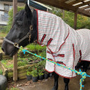 Clydesdale Cotton Combo Heavy Horse Rug Red|Horse Rugs Australia - LOVE MY HORSE