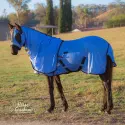 Horse wearing Love my Horse soft mesh hood set blue with the hood on