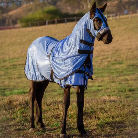 Horse wearing Love my Horse soft mesh hood set blue with the hood on