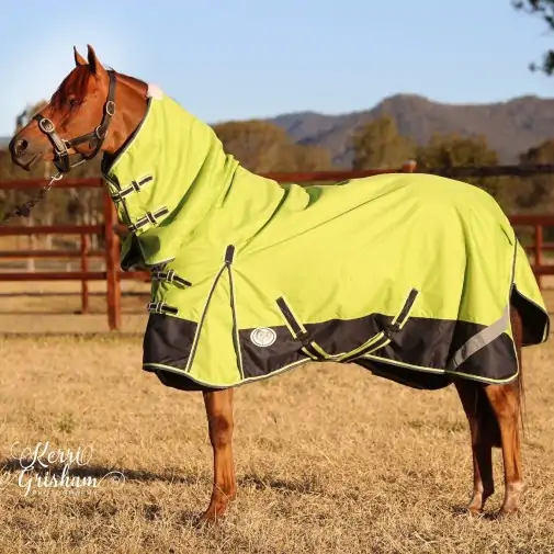 Horse wearing 1200d winter horse rug with 300g filling in lime/navy, australia