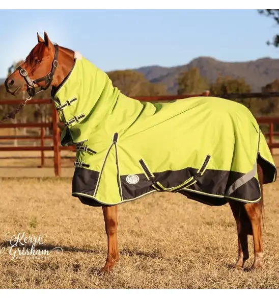 Horse wearing 1200d winter horse rug with 300g filling in lime/navy, australia