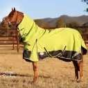 Horse wearing 1200d winter horse rug with 300g filling in lime/navy, australia