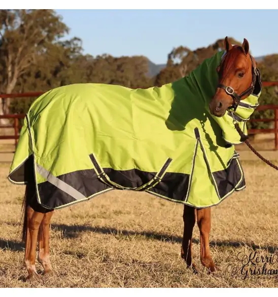 Horse wearing 1200d winter horse rug with 300g filling in lime/navy, australia