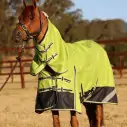 Horse wearing 1200d winter horse rug with 300g filling in lime/navy, australia