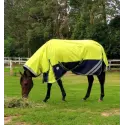 Horse wearing 1200d winter horse rug with 300g filling in lime/navy, australia