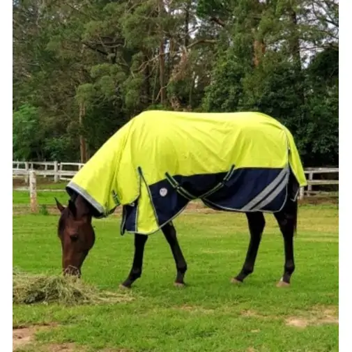 Horse wearing 1200d winter horse rug with 300g filling in lime/navy, australia