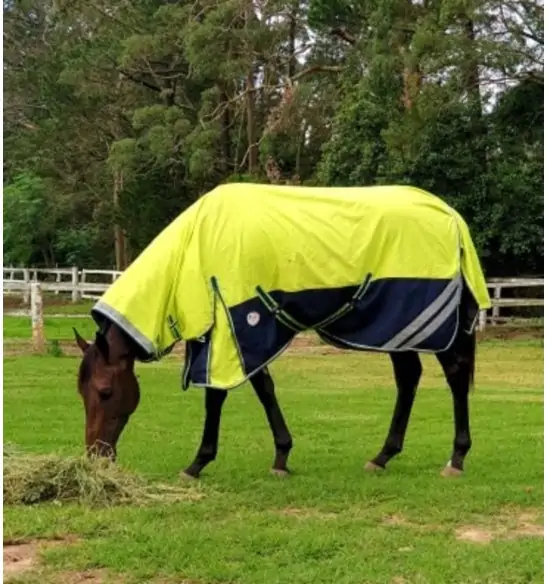 Horse wearing 1200d winter horse rug with 300g filling in lime/navy, australia
