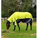 Horse wearing 1200d winter horse rug with 300g filling in lime/navy, australia
