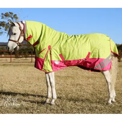 1200D Winter 180g Combo Horse Rugs Lime Pink 2