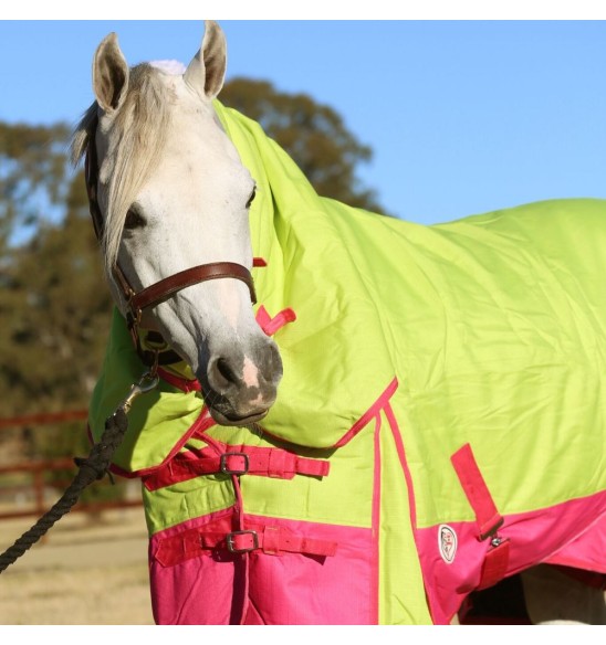 1200D Winter 180g Combo Horse Rugs Lime Pink|Horse Rugs | LOVE MY HORSE - Australia