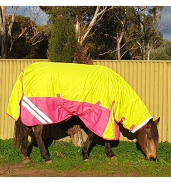 1200D Winter 180g Combo Horse Rugs Lime Pink|Horse Rugs | LOVE MY HORSE - Australia
