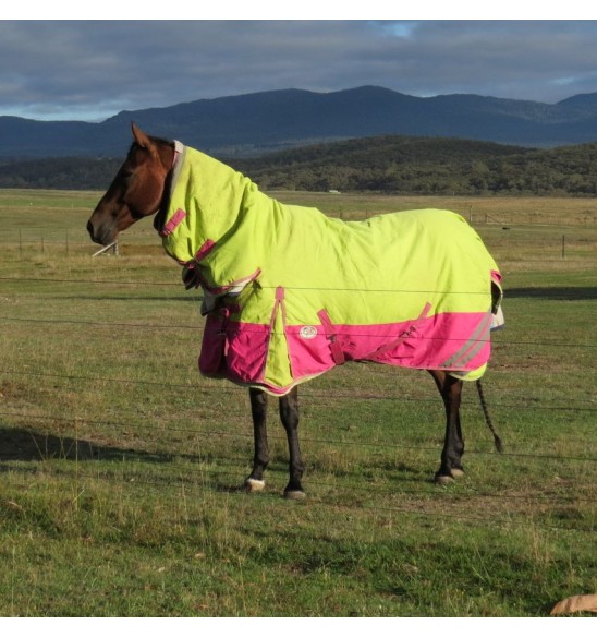 1200D Winter 180g Combo Horse Rugs Lime Pink|Horse Rugs | LOVE MY HORSE - Australia