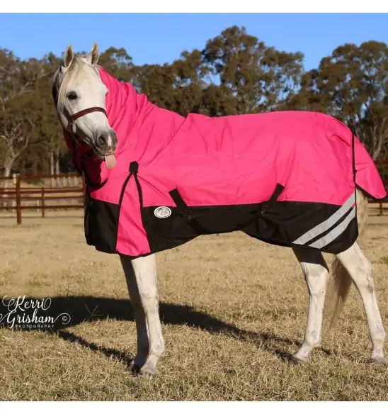 Horse wearing Love My Horse Pink Winter Combo