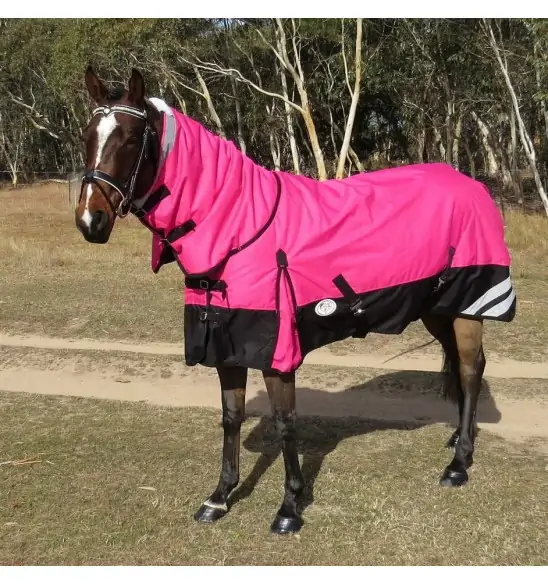 Horse wearing Love My Horse Pink Winter Combo