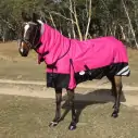 Horse wearing Love My Horse Pink Winter Combo
