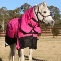 Horse wearing Love My Horse Pink Winter Combo