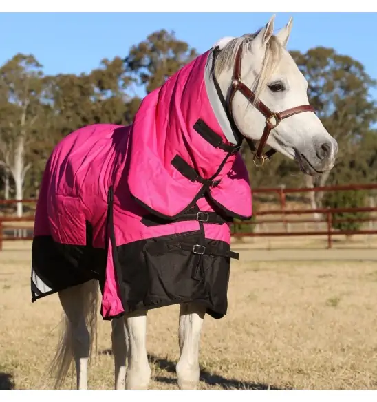 Horse wearing Love My Horse Pink Winter Combo