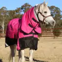 Horse wearing Love My Horse Pink Winter Combo