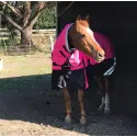 Horse wearing Love My Horse Pink Winter Combo