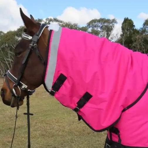 Close up of neck of horse wearing Love My Horse Pink Winter Combo