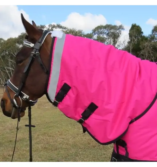 Close up of neck of horse wearing Love My Horse Pink Winter Combo