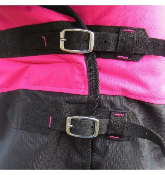 Horse wearing Love My Horse Pink Winter Combo close up of chest buckles
