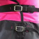 Horse wearing Love My Horse Pink Winter Combo close up of chest buckles