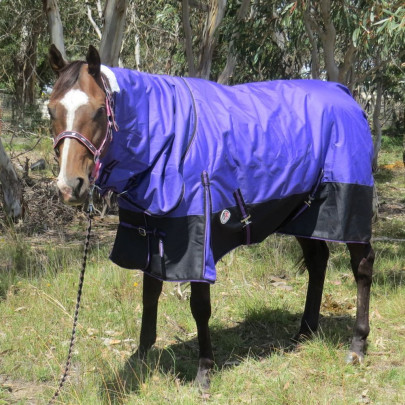 1200D Fleece Lined Rainsheet Combo Horse Rugs Purple