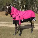 Bay horse weaing Love My Horse Winter Combo Pink