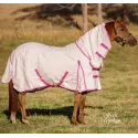 Arab horse wearing cotton combo horse rug with pink trim