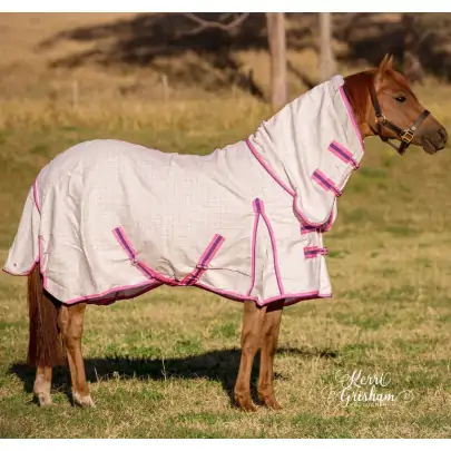 Arab horse wearing cotton combo horse rug with pink trim 2