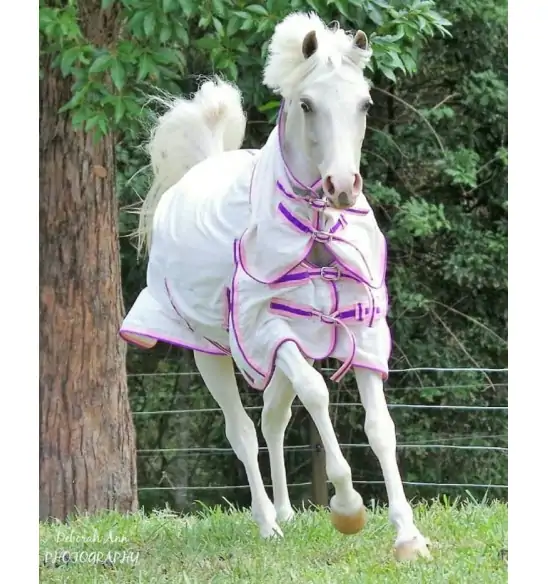 Summer Cotton Combo Horse Rugs Pink|Horse Rugs | LOVE MY HORSE - Australia