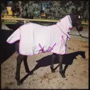 Black pony wearing cotton combo horse rug with pink trim