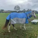 Rainsheet Mesh Hybrid Horse Rugs Blue | LOVE MY HORSE AU
