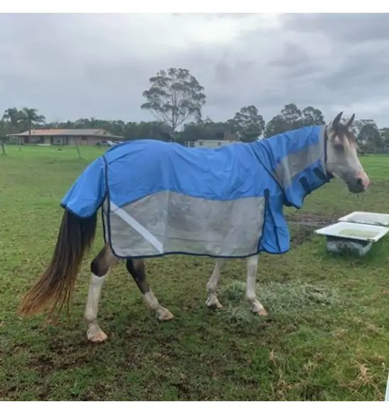 Rainsheet Hybrid Combo Horse Rugs Blue|Horse Rugs | LOVE MY HORSE - Australia