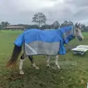 Rainsheet Hybrid Combo Horse Rugs Blue|Horse Rugs | LOVE MY HORSE - Australia