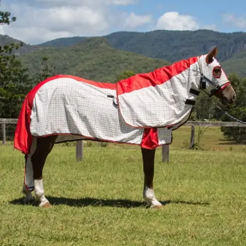 Rainsheet Cotton Show Set Horse Rugs Red|Horse Rugs | LOVE MY HORSE - Australia