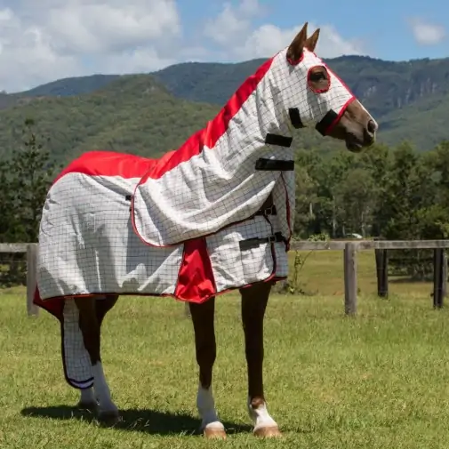 Rainsheet Cotton Show Set Horse Rugs Red|Horse Rugs | LOVE MY HORSE - Australia