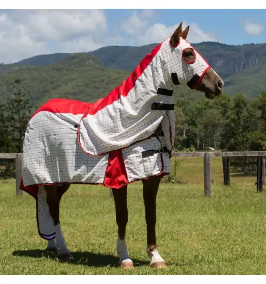 Rainsheet Cotton Show Set Horse Rugs Red|Horse Rugs | LOVE MY HORSE - Australia