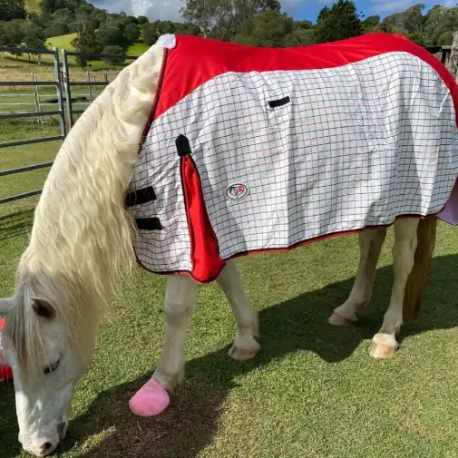 Rainsheet Cotton Show Set Horse Rugs Red|Horse Rugs | LOVE MY HORSE - Australia